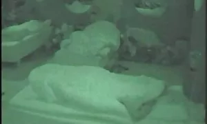 الأطفال-تريسي الذهب وأقواس سيبول-فقط في المنام فيلم رومانسي سكسي اجنبي