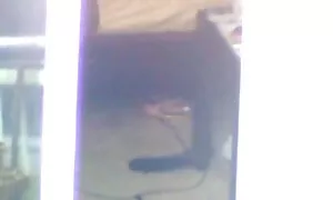 فاتنة شقراء - 2 أيام افلام سكسي مترجمه كامله