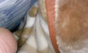 الساخنة فيلم اجنبي مترجم سكسي الهواة اللعين