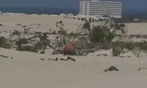 العجوز الملاعين الصغار فيلم سكسي للكبار فقط