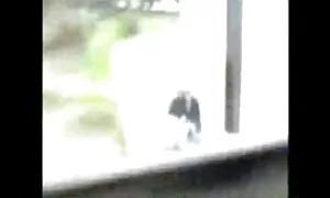 متستر الجنس مع مفلس زوجة فيلم سكسي للكبار فقط ليكسي لونا الأسود